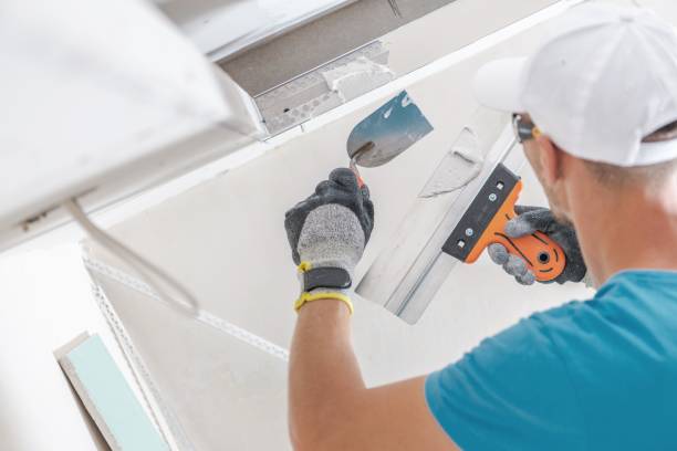 Best Mold Damage Restoration  in Menomonee Falls, WI